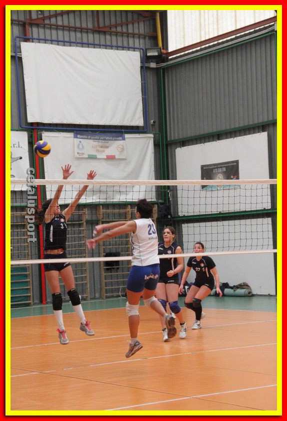 140223 cegap 251_tn.jpg
